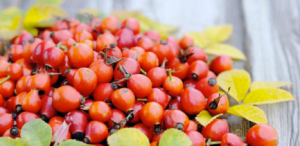 waku-organics-alennuskoodi